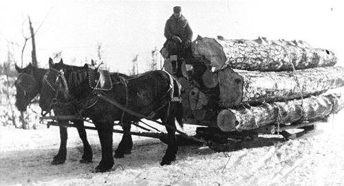 Timber Harvest History