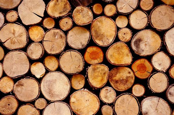 Sustainable firewood cords for sale in Wisconsin