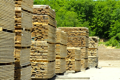 Stacks of Cut Lumber