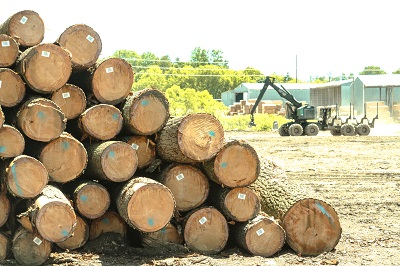 Veneer Grade Logs