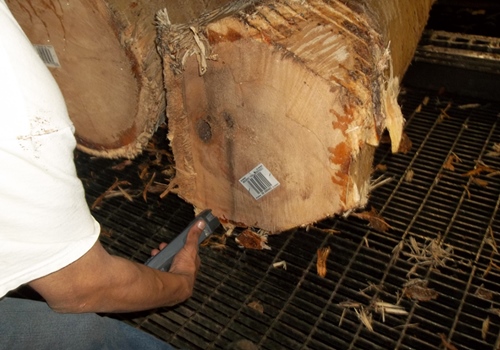 Worker Scanning Lumber
